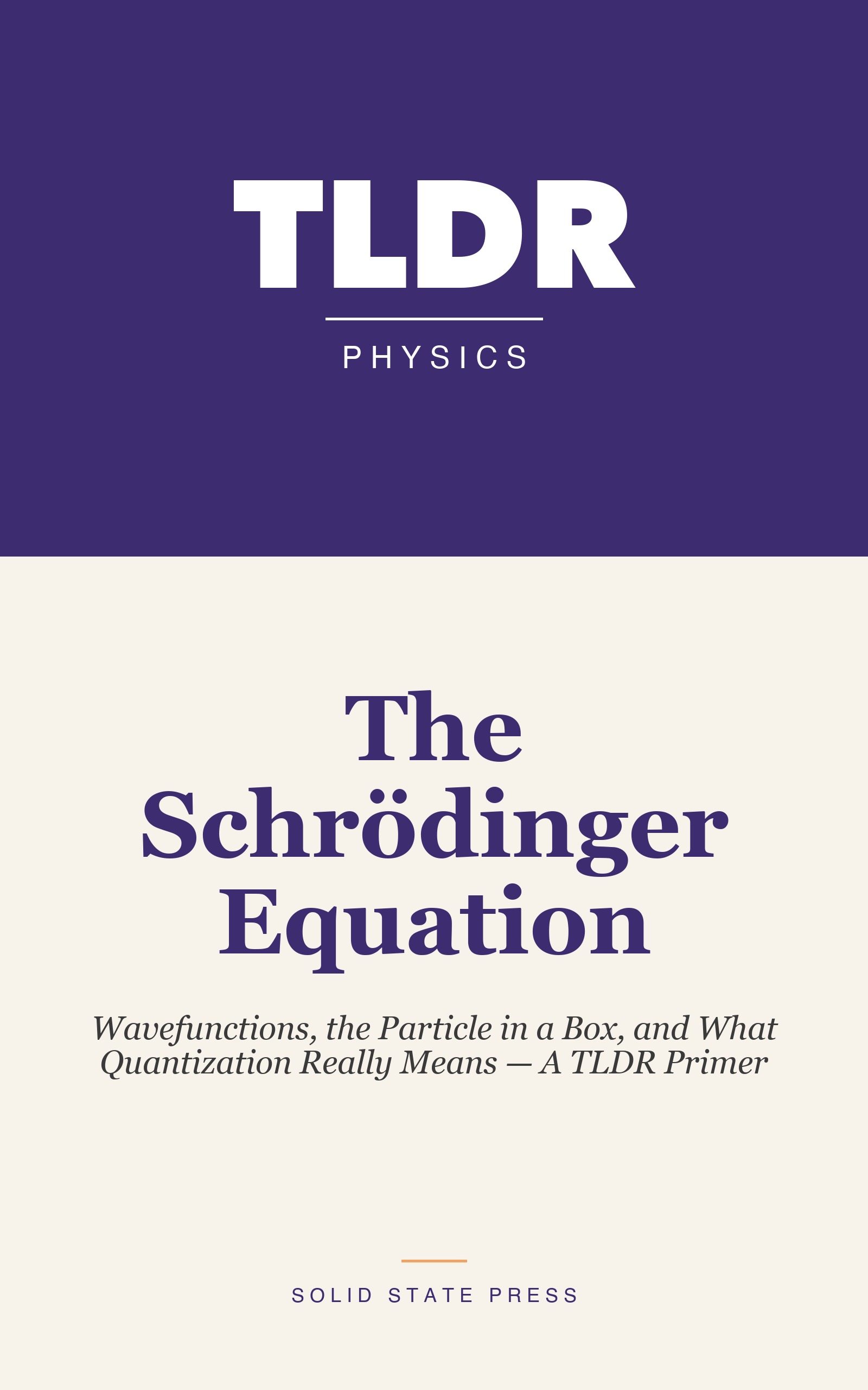 The Schrödinger Equation cover