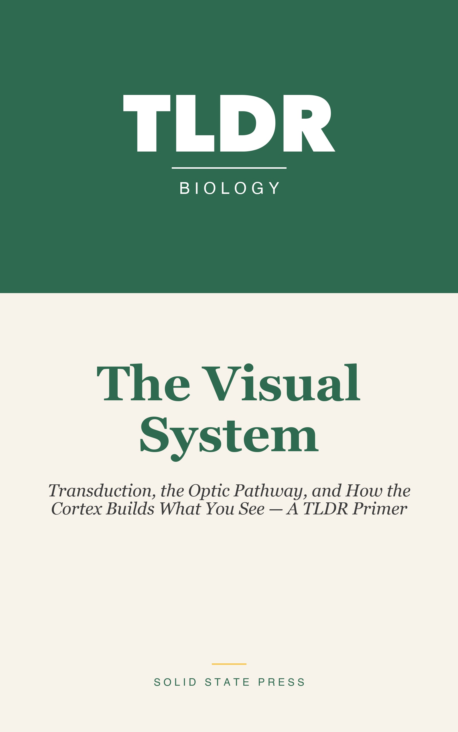 The Visual System cover